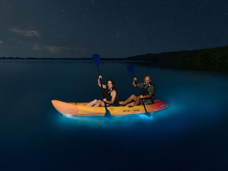 Visit the Bioluminescent Bay